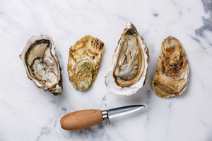 Maine Man Oyster Clam Knife