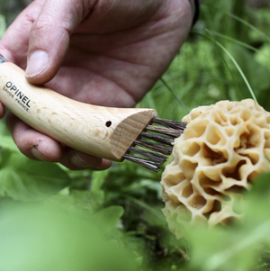 Opinel No.08 Stainless Steel Mushroom Knife