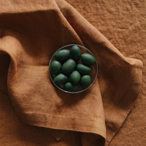 Linen Tales Hazelnut Linen Napkins Set of 2