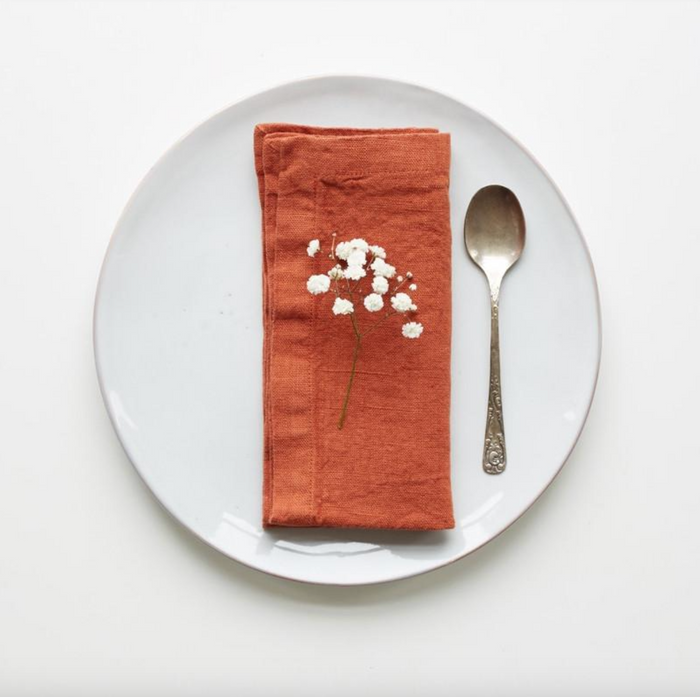 Linen Tales Baked Clay Linen Napkins Set of 2