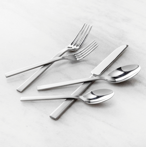 Fortessa Viggo Satin 20pc Flatware Set