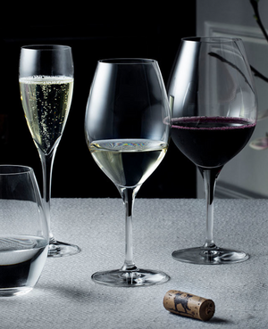 Orrefors More Champagne Glass