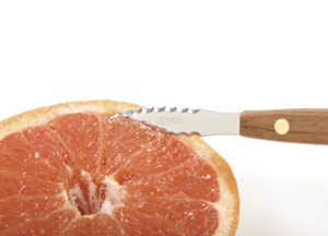 SQUIRTLESS GRAPEFRUIT KNIFE